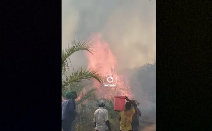 Chizavanefilre.fire_