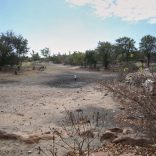 Droughtzim.b