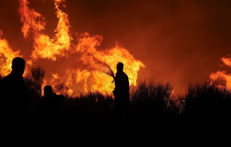Wildfireathens.r