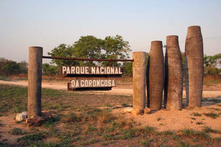 Gorongosa-Capa-750x500