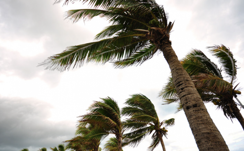 Screenshot-2025-02-27-at-15.25.22