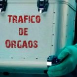 Traff.not_