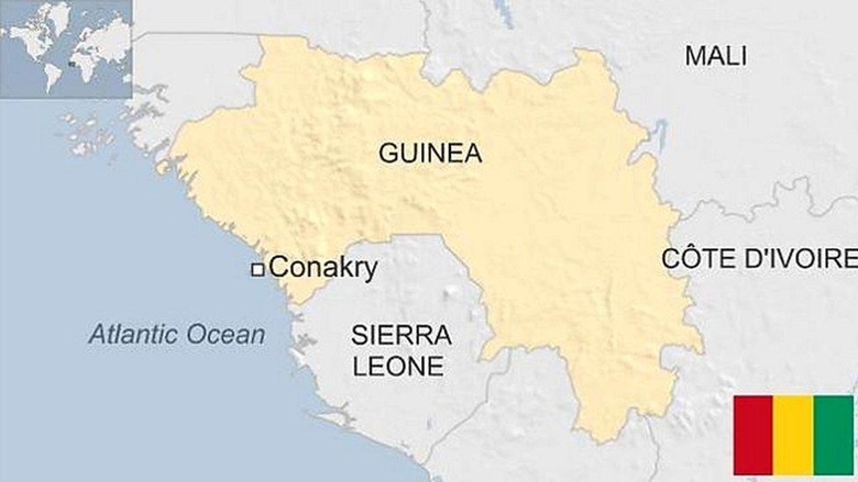 Guinea.b