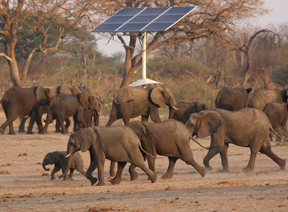 Elephantssolar.r