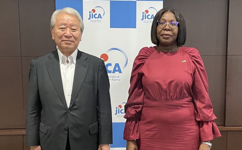 Jicaprlevi.jica_