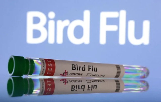 Birdflur.r