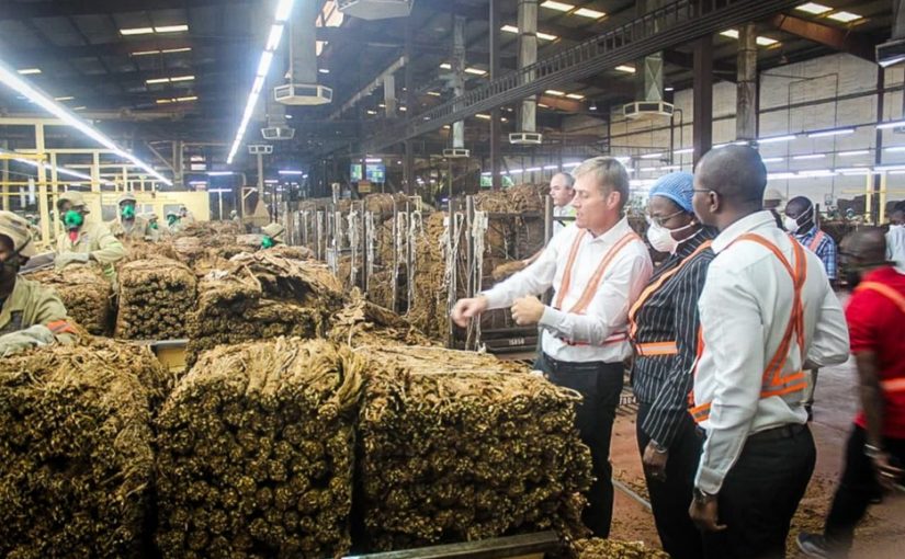 Mozambiquelt.dom_