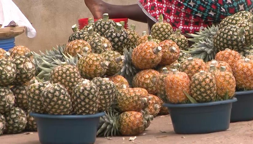 Ananas-ntitled-chibabava-1