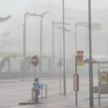 Typhoon.r