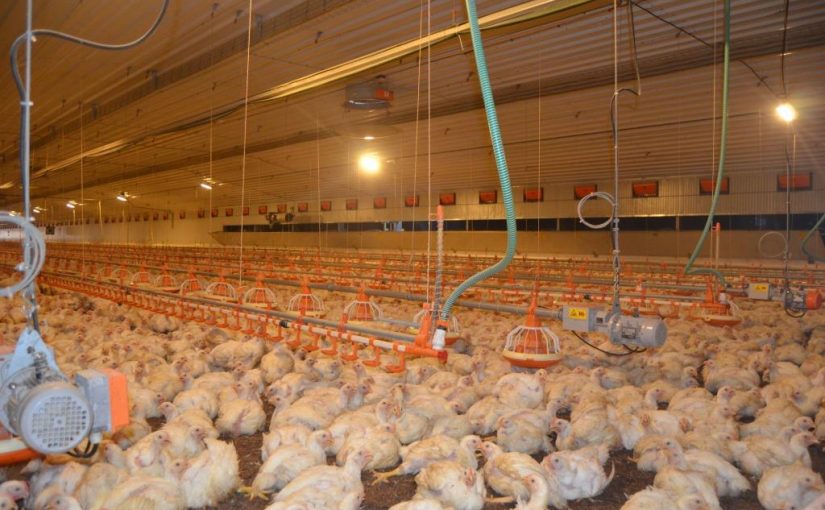 574476460_1146500260991188_696127814137400102_n