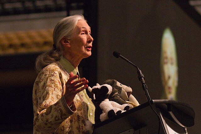 Jane_Goodall_at_Mizzou_Arena_facing_right