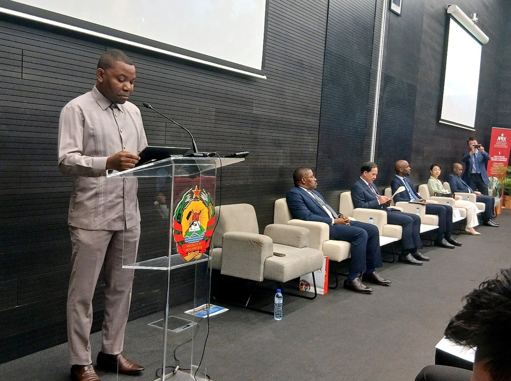 Mozambique: CTA stresses importance of local processing of natural resources