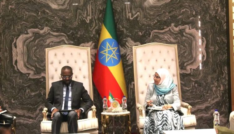 Ethiopia and Mozambique agree to strengthen military cooperation
