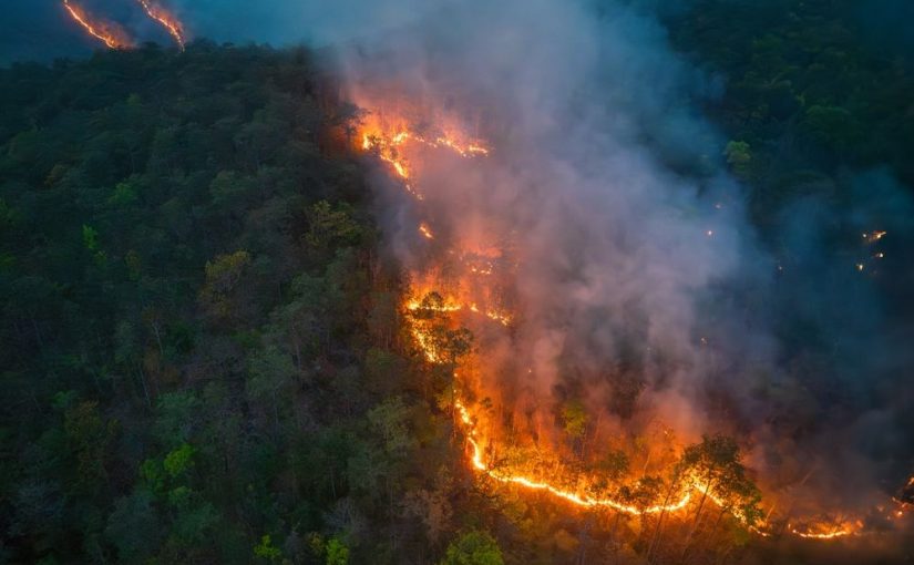 Fires.tt_