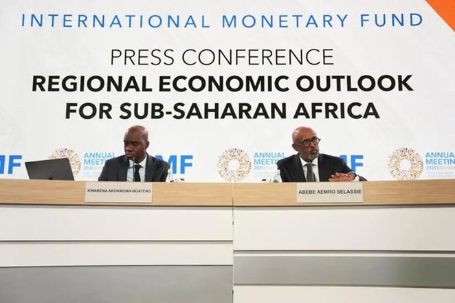 IMF highlights risks of domestic borrowing in sub-Saharan Africa