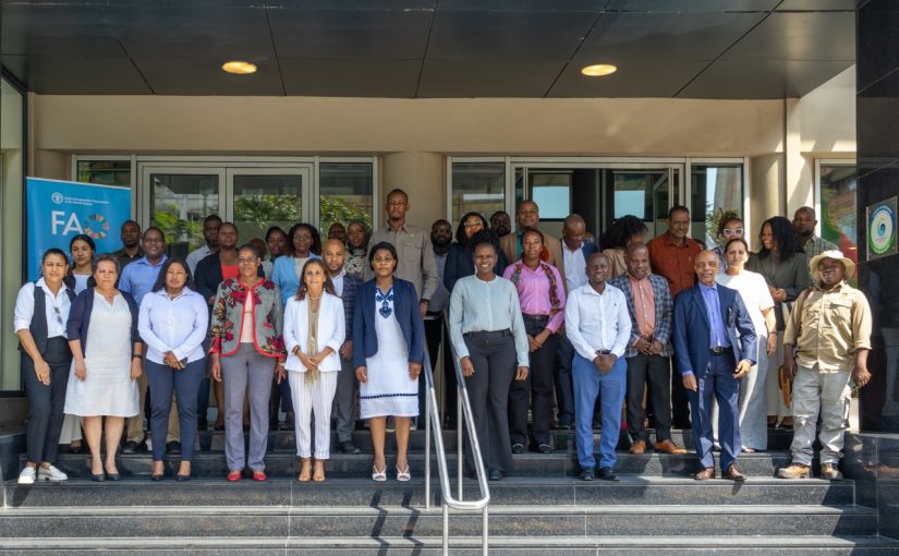 Team-photo-stosar-ii