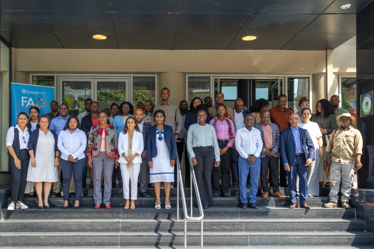 Mozambique launches STOSAR II to strengthen agriculture and agrifood systems