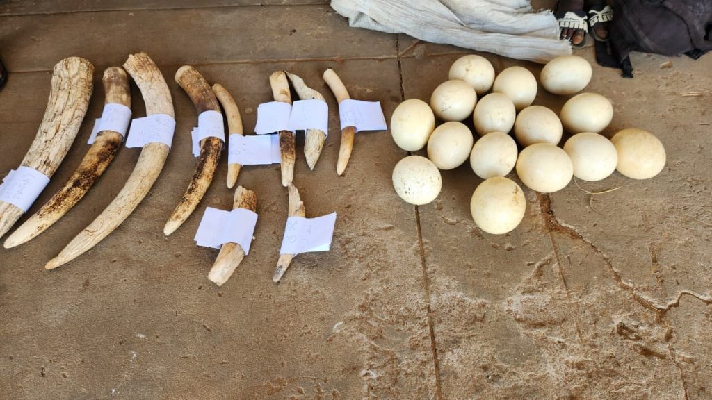 586186648_122250218300245045_4612263266495057290_n