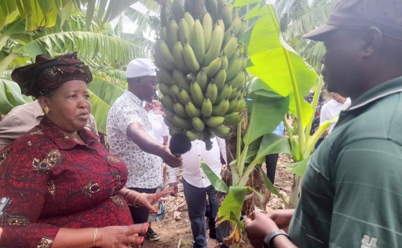 WhatsApp-Image-2025-11-19-at-14.54.46-1170x878