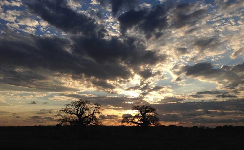 Tritongrahoite.triton