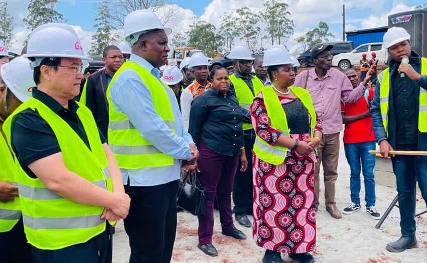 Mozambique: Global Shenglin Wood Industry to build US$10 million timber processing factory in Gondola